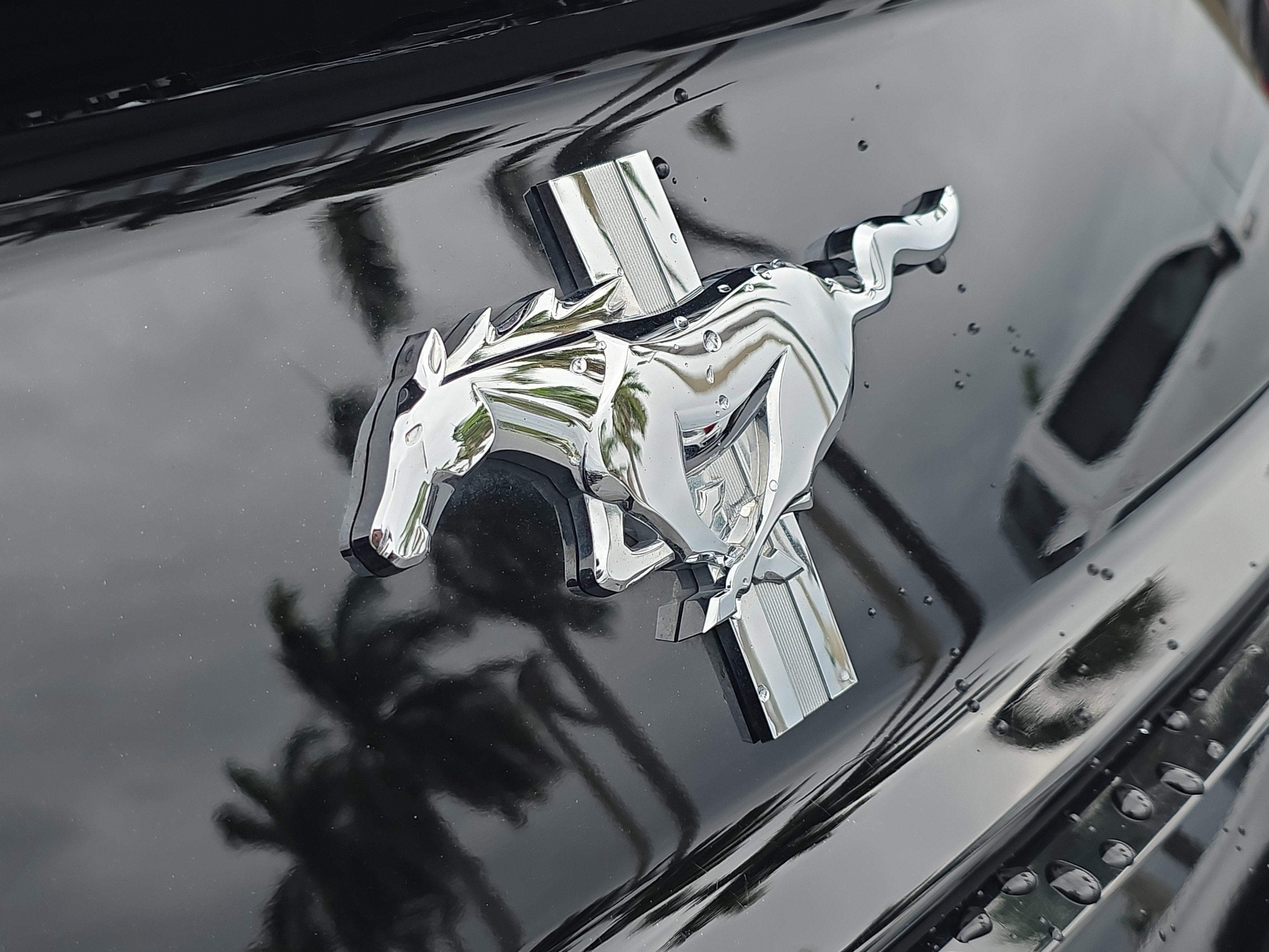 2015 Ford Mustang V6