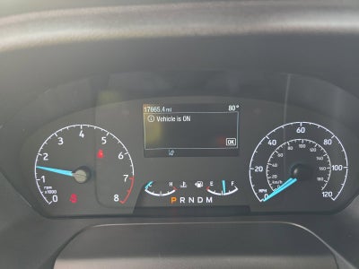2025 Ford Transit Cargo Van T250 RWD LOW RF