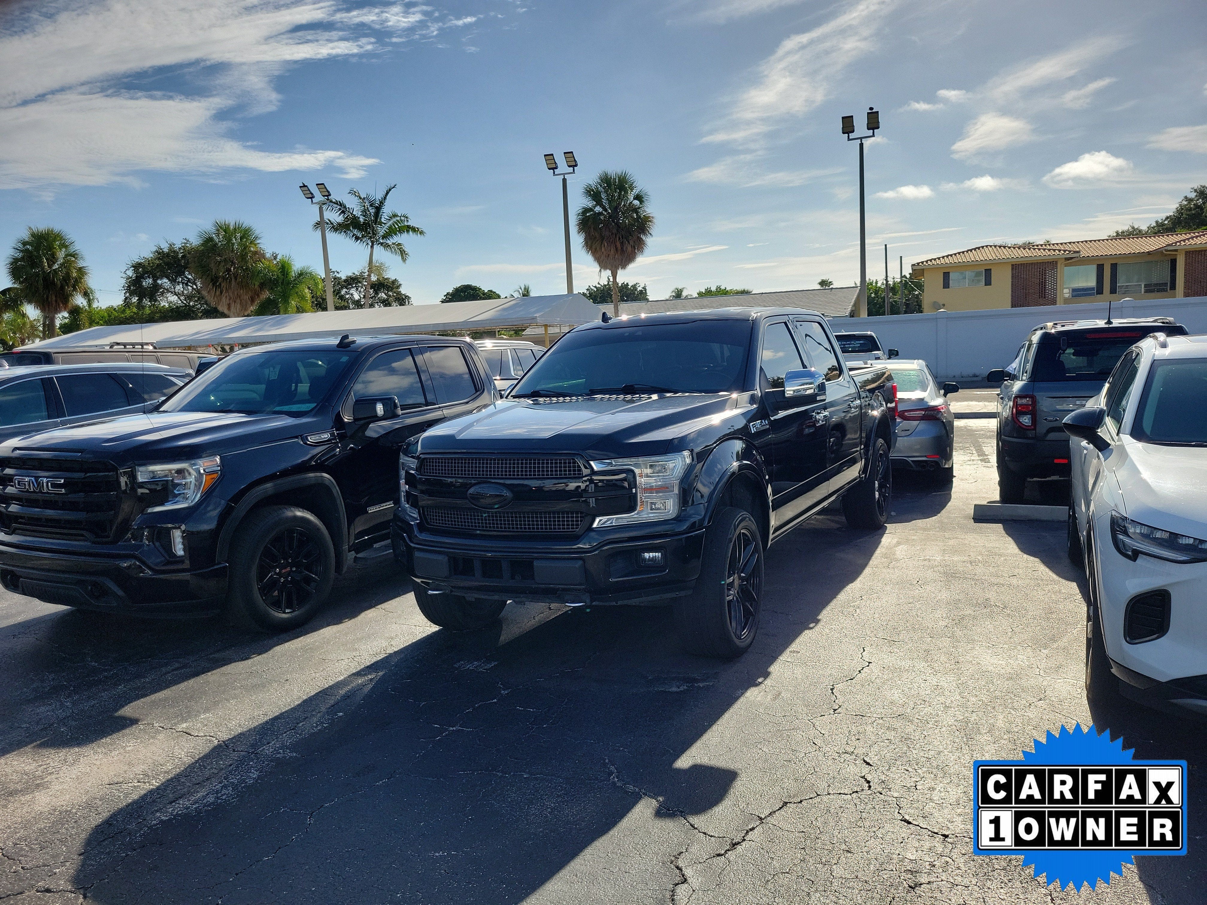 2020 Ford F-150 Platinum