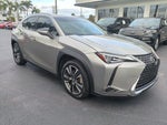 2019 Lexus UX UX 250h