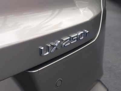 2019 Lexus UX UX 250h