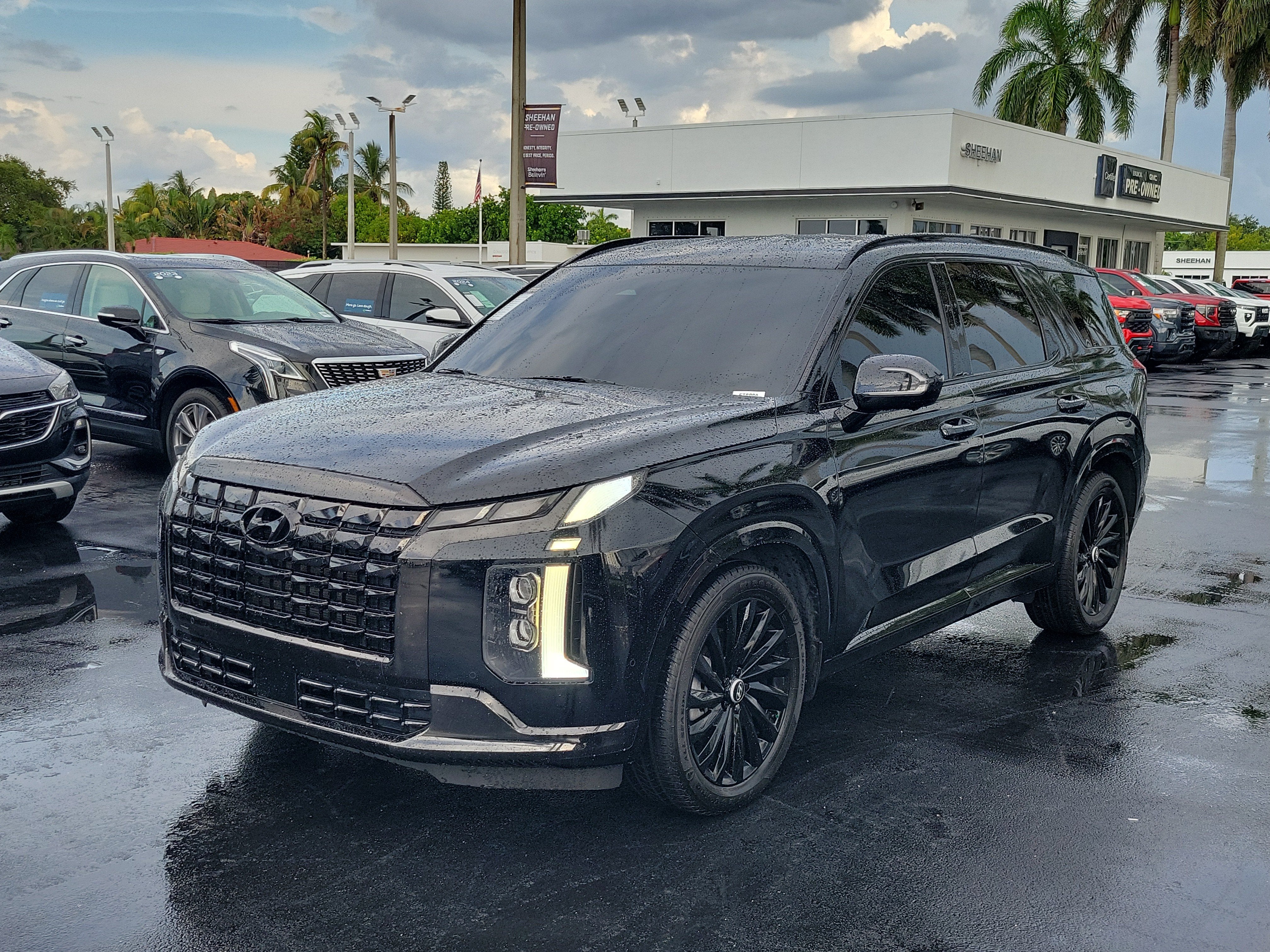 2024 Hyundai Palisade Calligraphy Night Edition