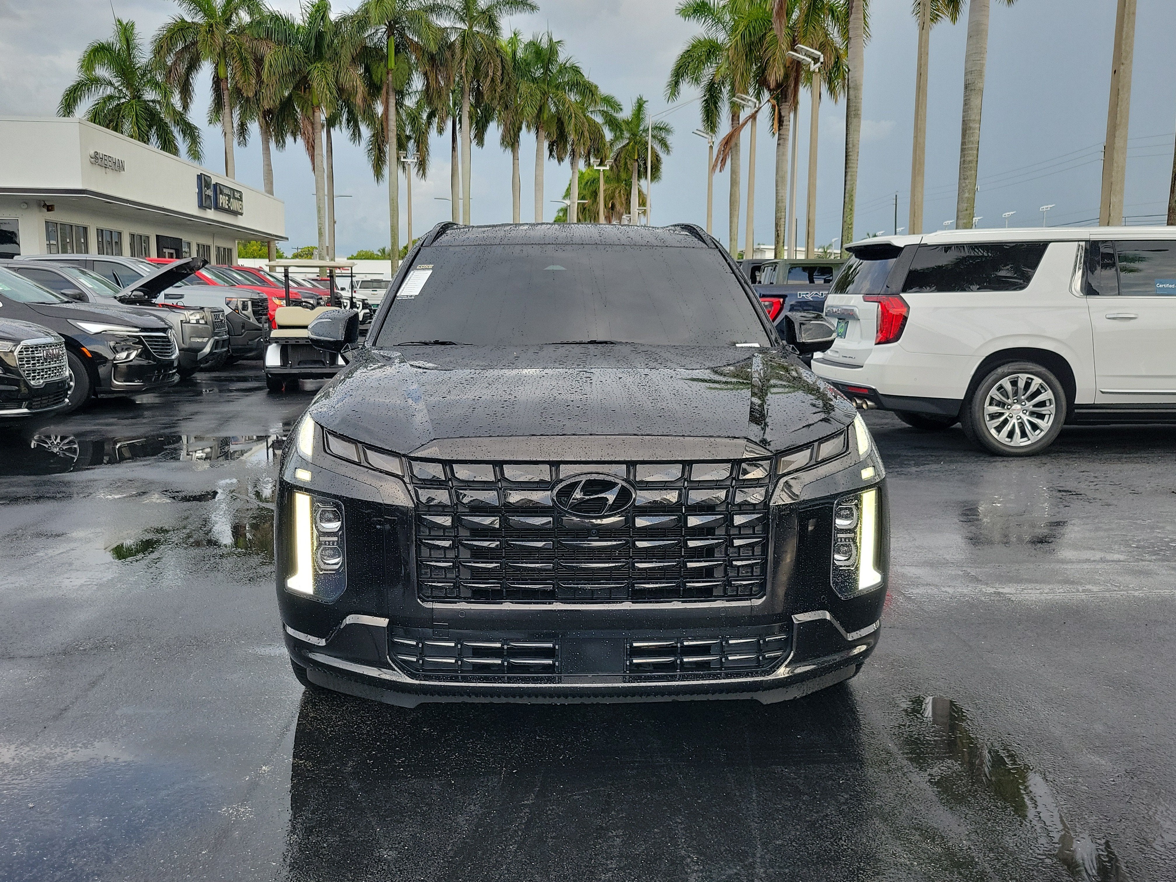 2024 Hyundai Palisade Calligraphy Night Edition
